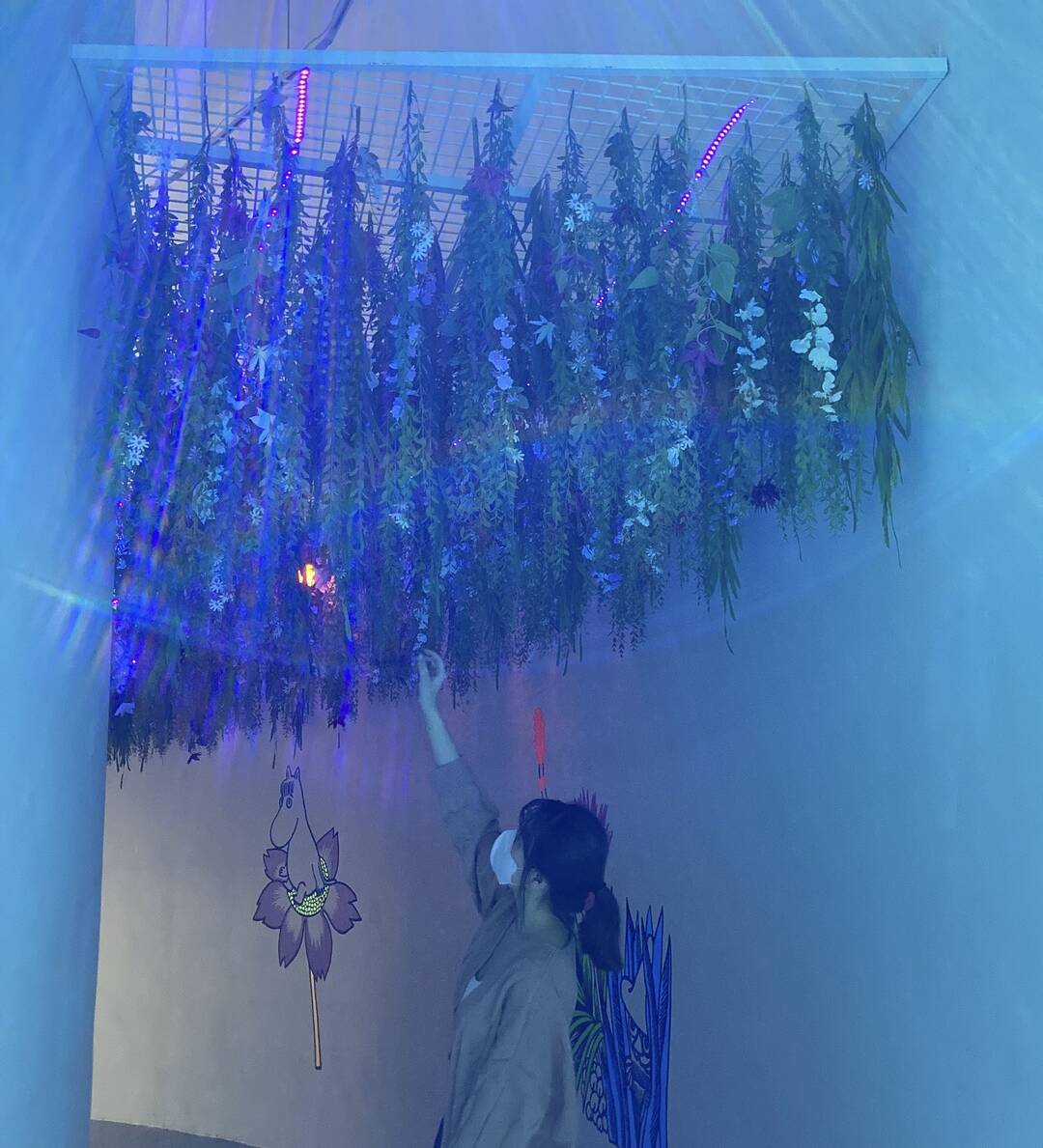제주도-장소1
