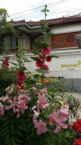 버즈네스트 호스텔 홍대