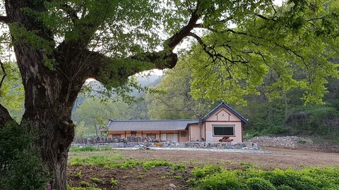 별동산 달빛아래