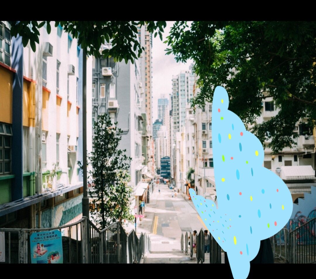 후기 사진