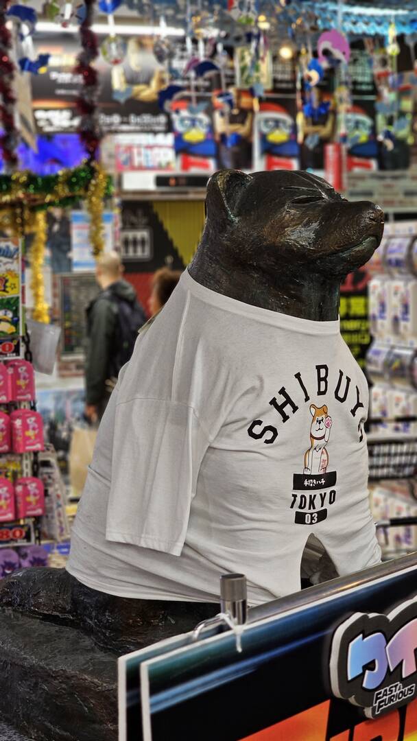 제주도, 도쿄-자유톡4