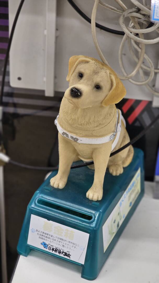 제주도, 도쿄-자유톡2