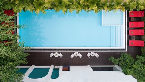 마네 콜로니얼 클래식