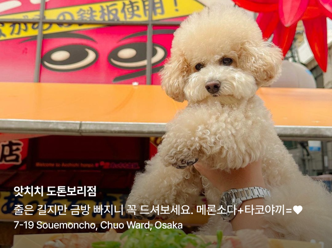 오사카, 교토 외 1개-장소3