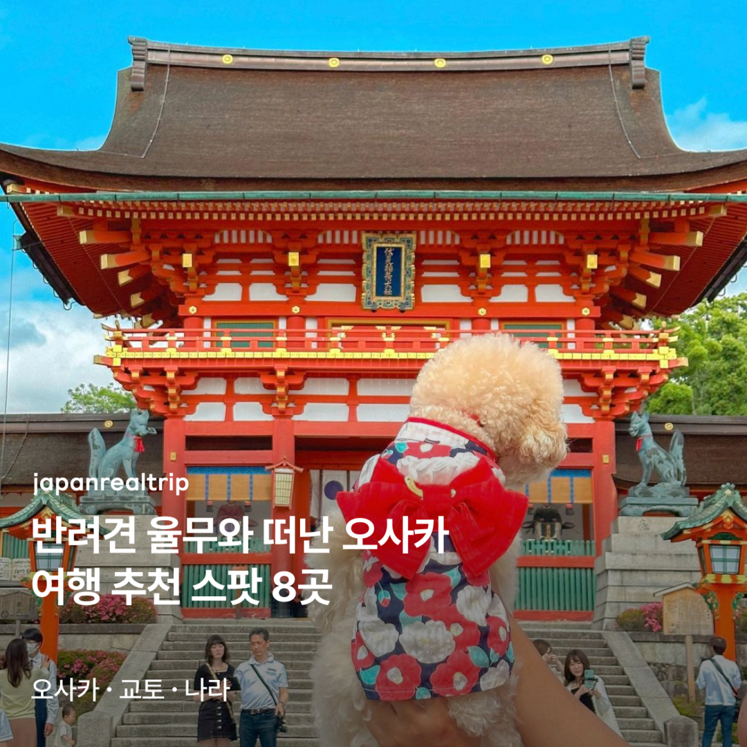 오사카, 교토 외 1개-장소0