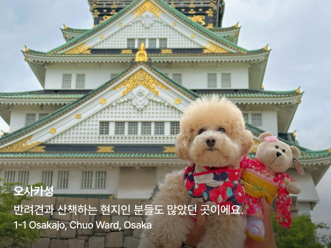 오사카, 교토 외 1개-장소4