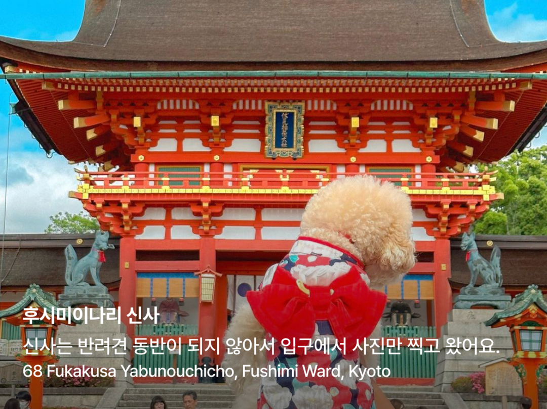 오사카, 교토 외 1개-장소7