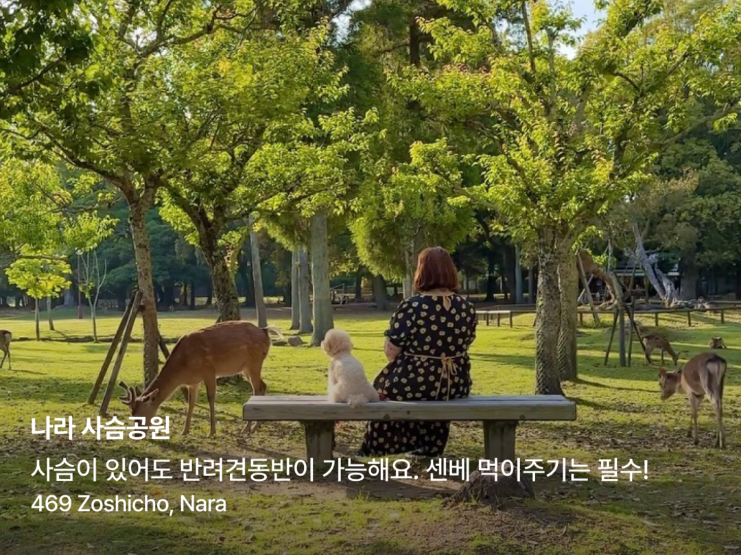 오사카, 교토 외 1개-장소5