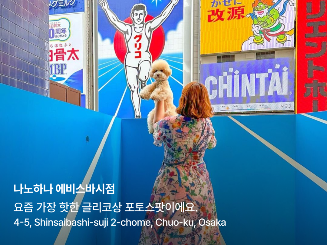 오사카, 교토 외 1개-장소2