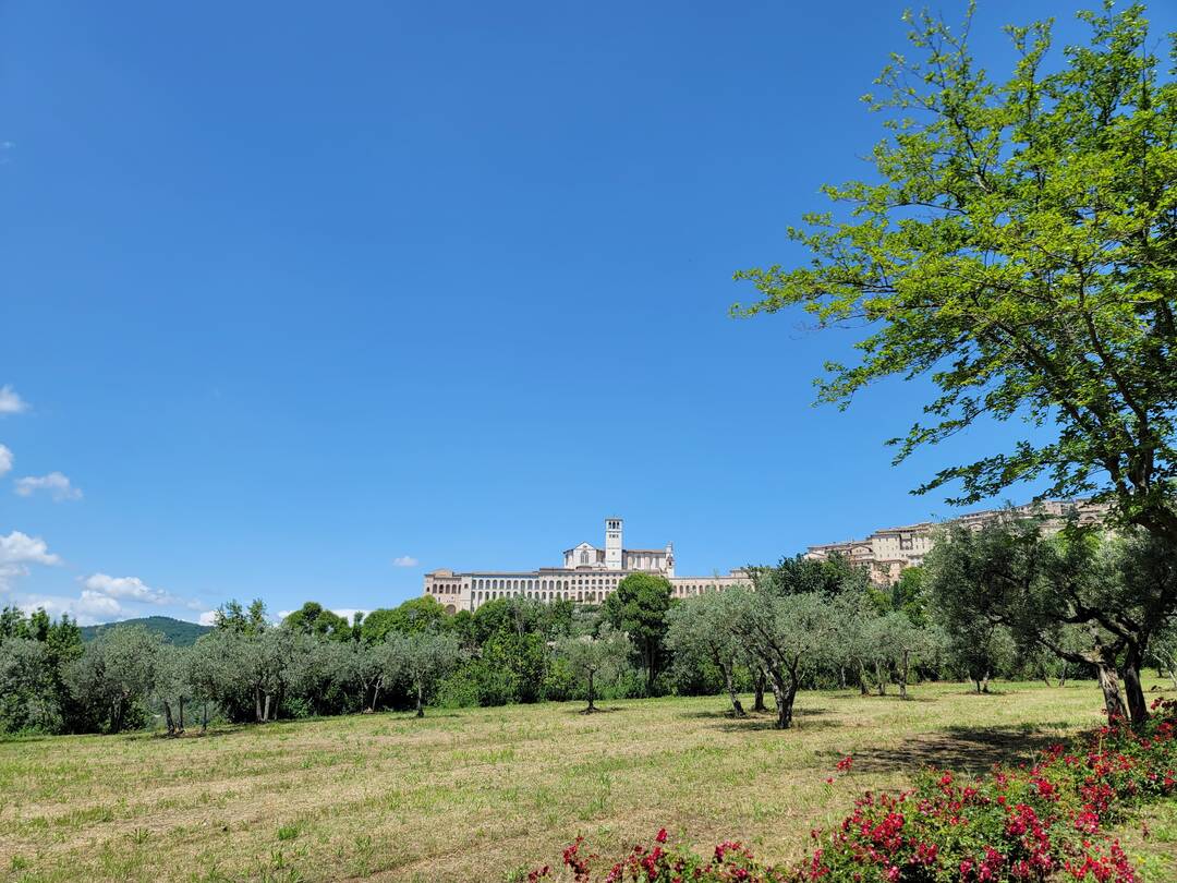 아시시-자유톡3