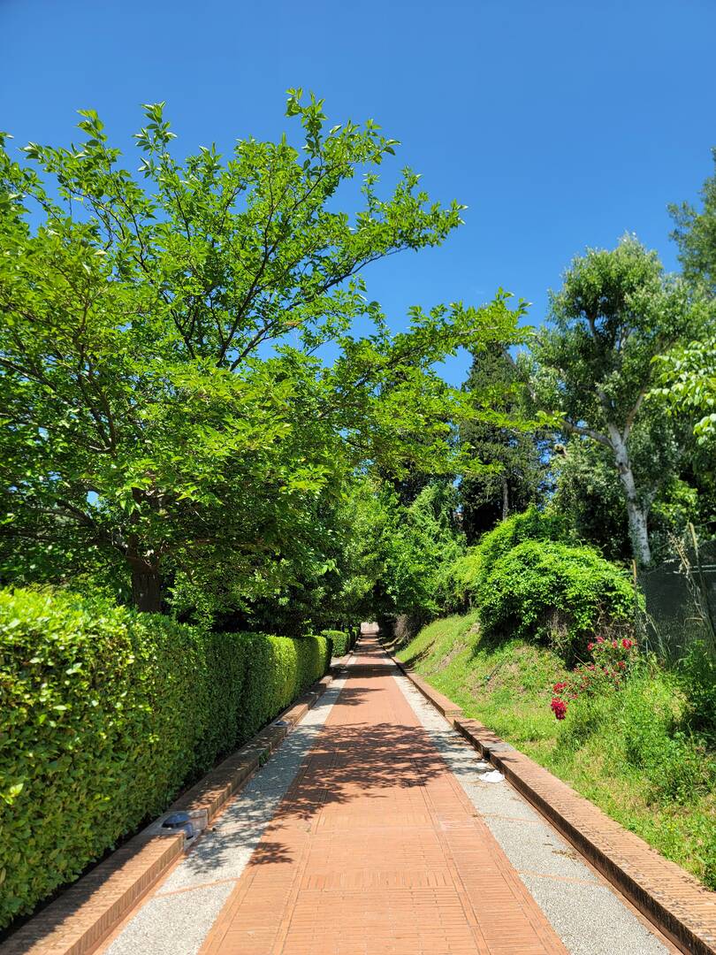 아시시-자유톡2