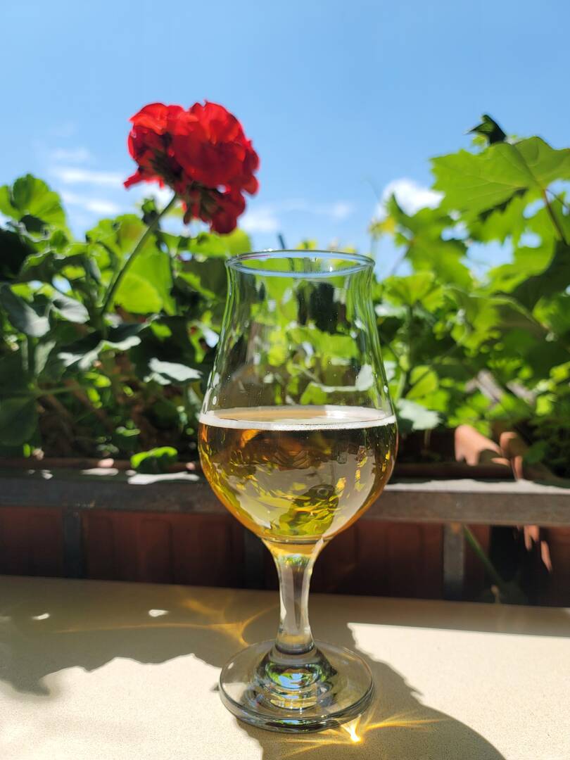 아시시-자유톡4