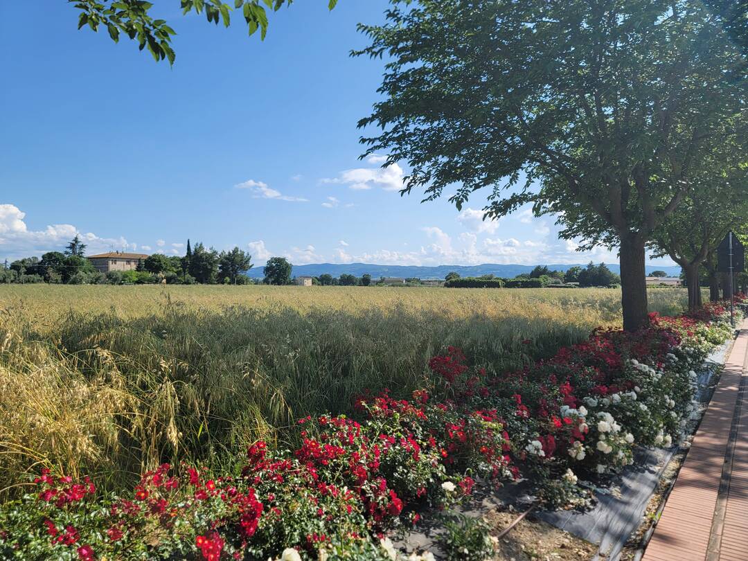 아시시-자유톡0