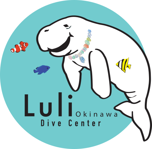 류큐B&M (루리 오키나와)