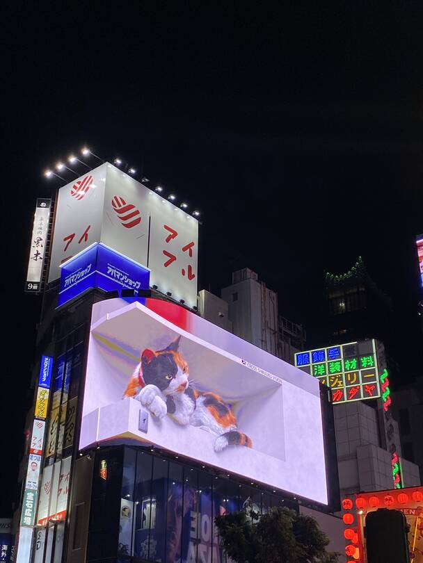 도쿄-자유톡0