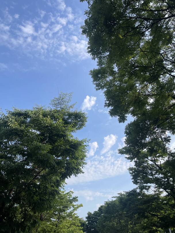 서울-장소2