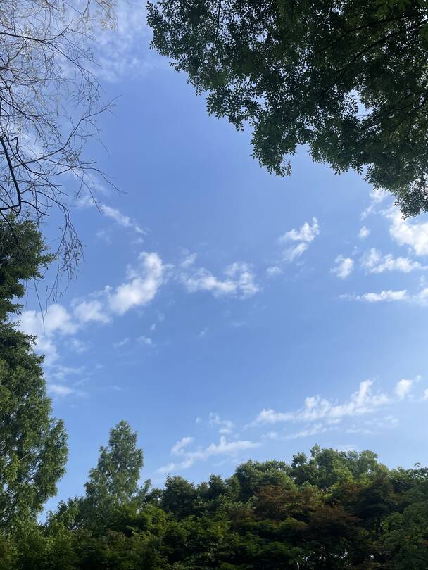 서울-장소0