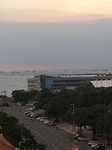 더 퍼플 트리 호스텔