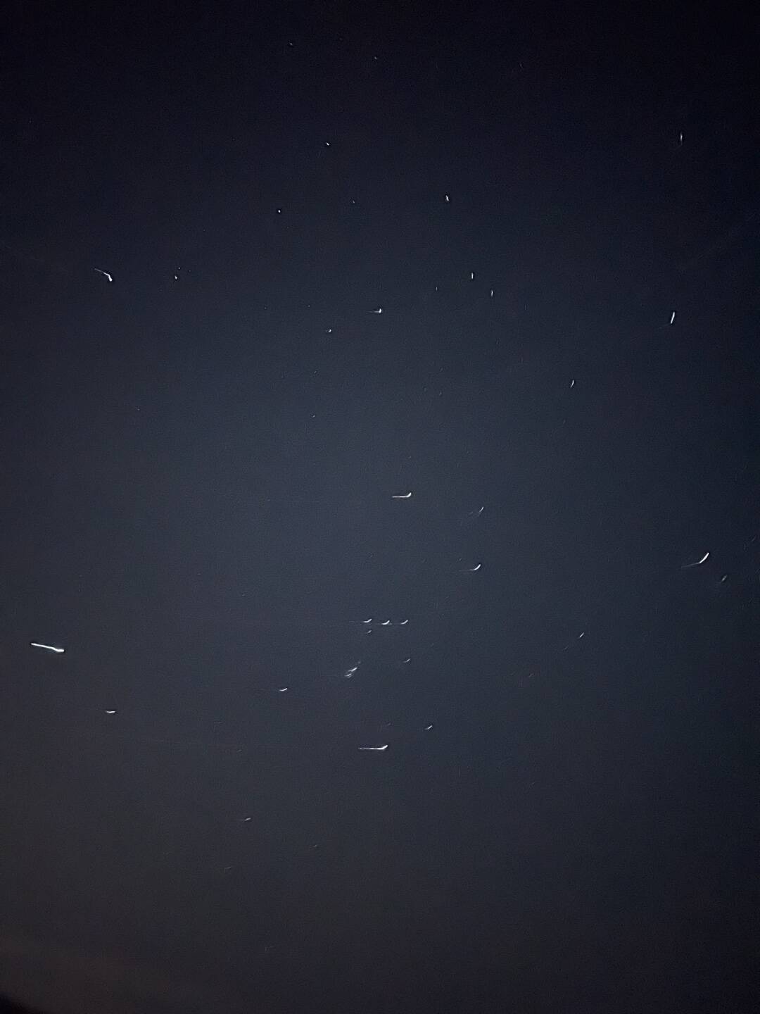 오사카, 서울-자유톡0