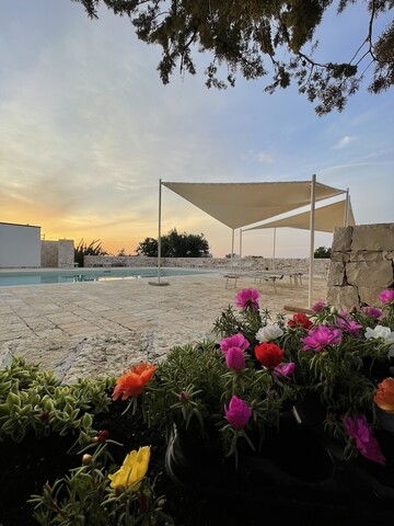 마세리아 파니치