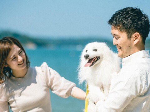 PET RESORT BRAINS AMAKUSA