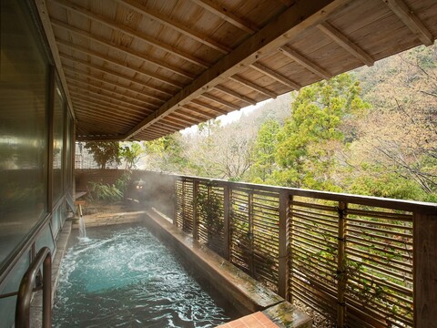 신 가바카와 간코 호텔