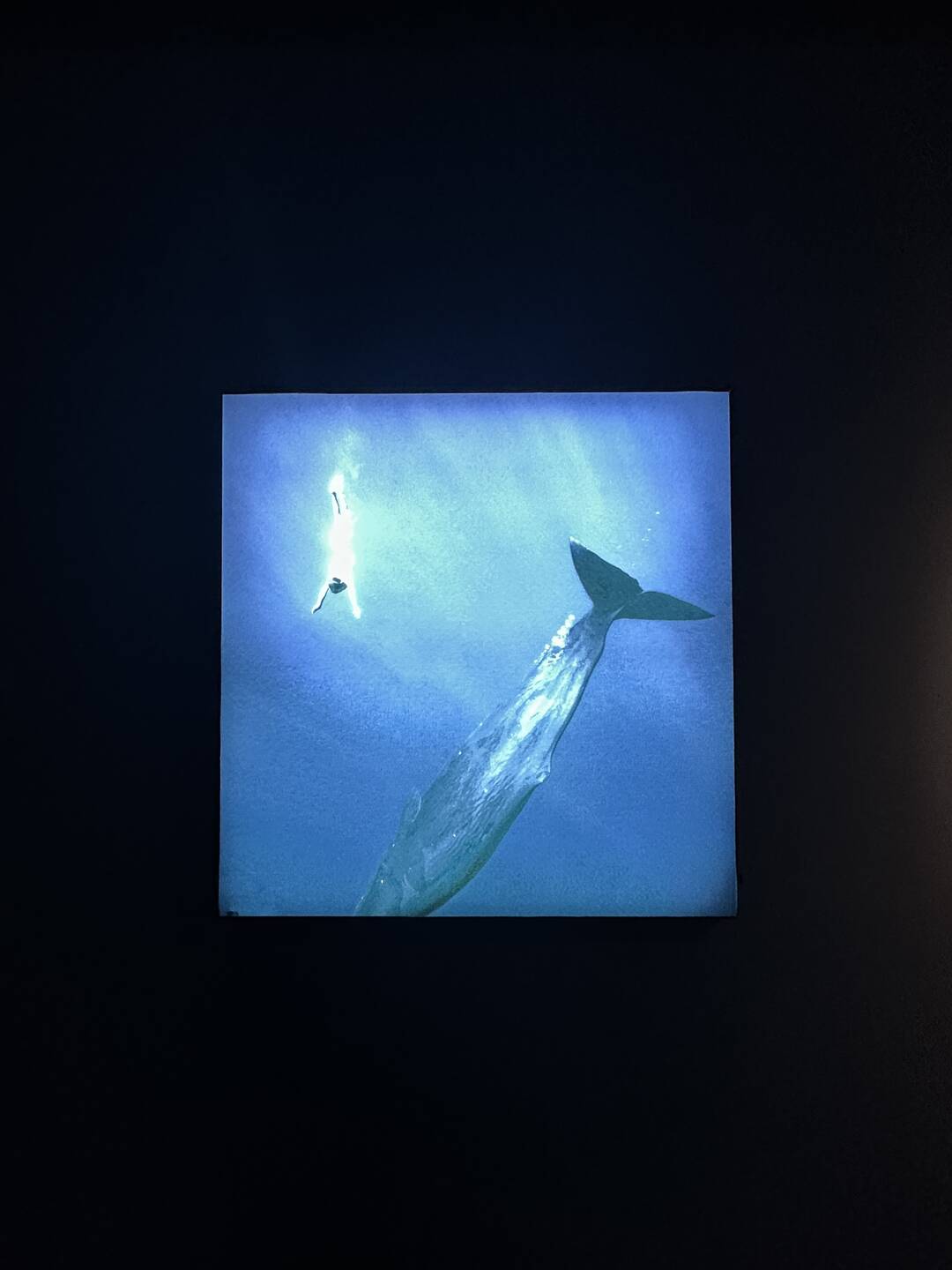 서울-장소0