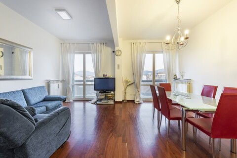 시피오네 바이 메가