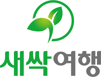새싹여행