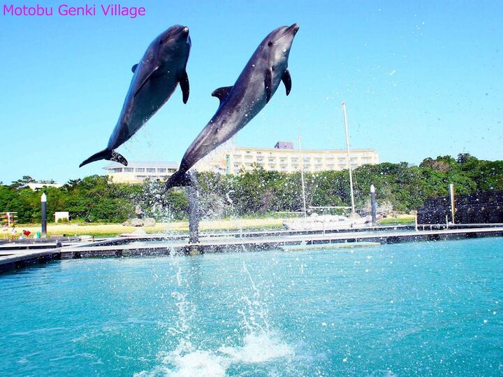 마린 피아자 오키나와 대표 이미지