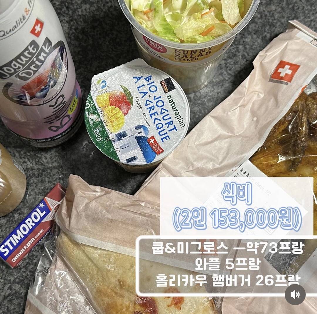 인터라켄-자유톡,일정•경비5