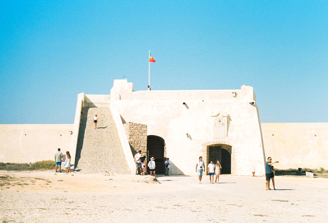 라고스-자유톡,일정•경비0