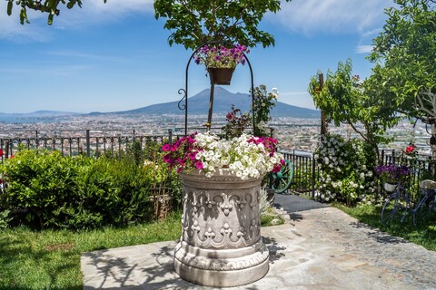 아그리투리스모 빌라 팔멘티엘로