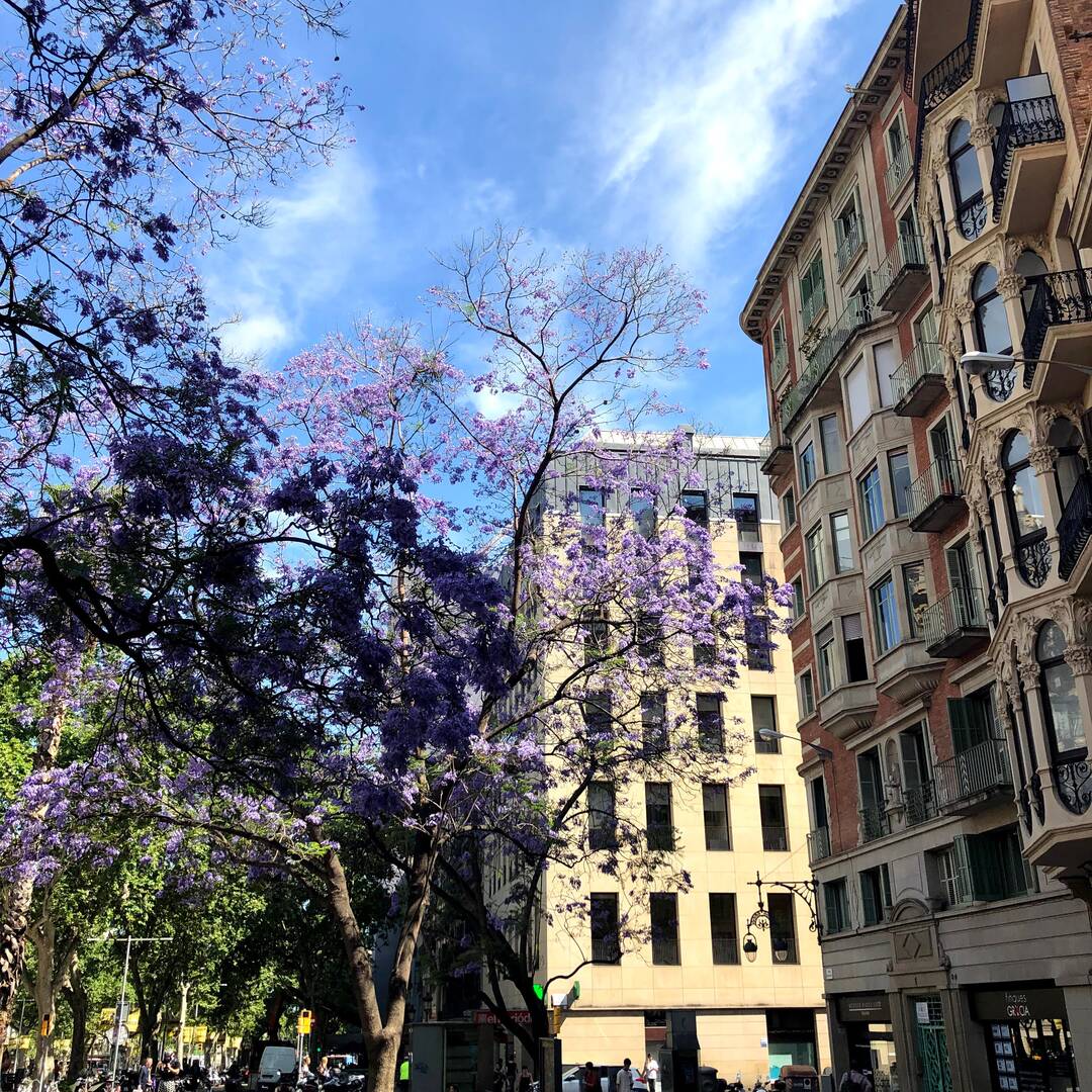 바르셀로나-장소6