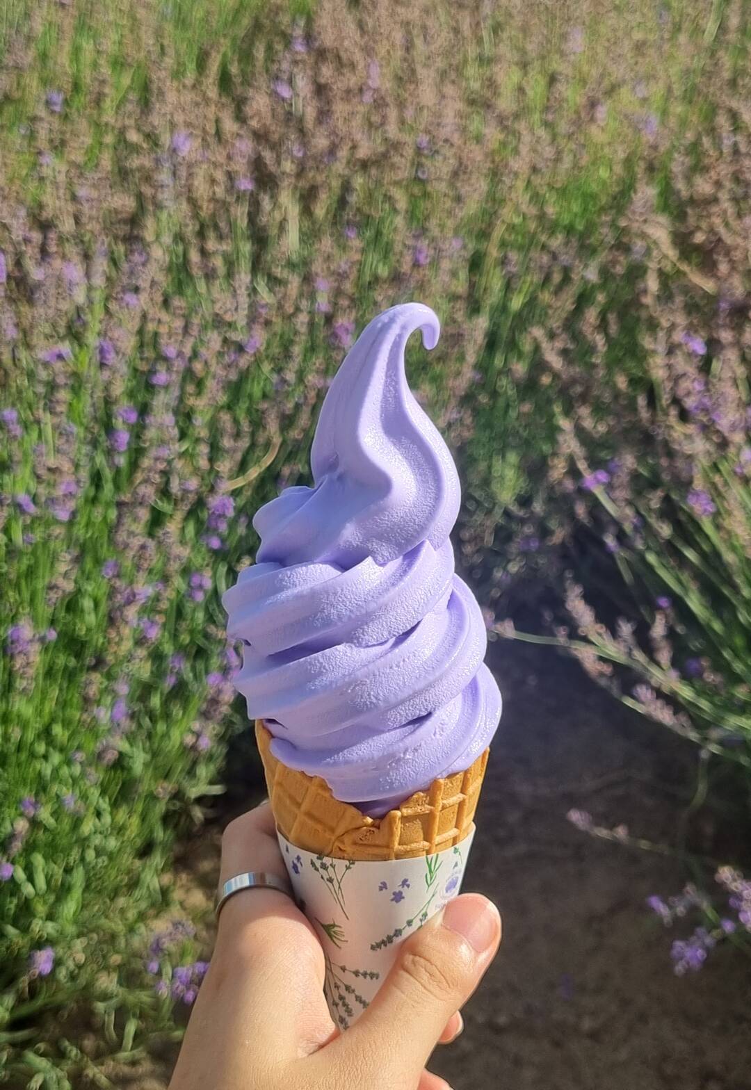 삿포로, 후라노-장소3