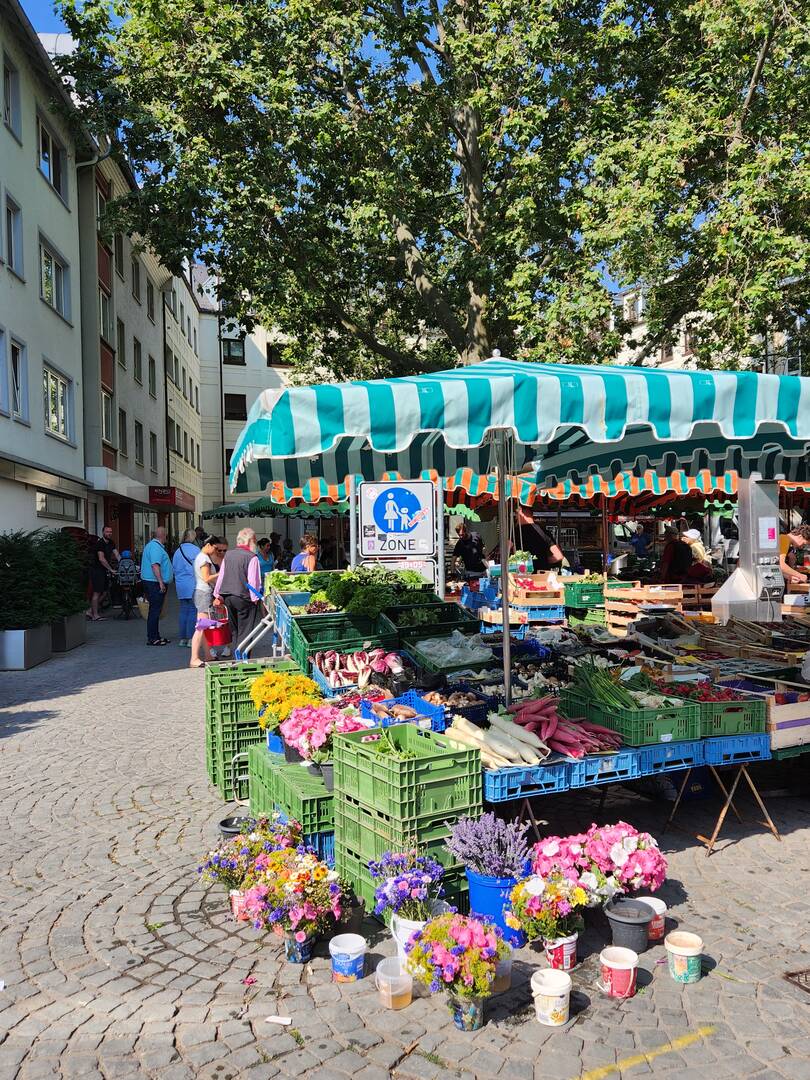 마인츠, 비스바덴-장소6