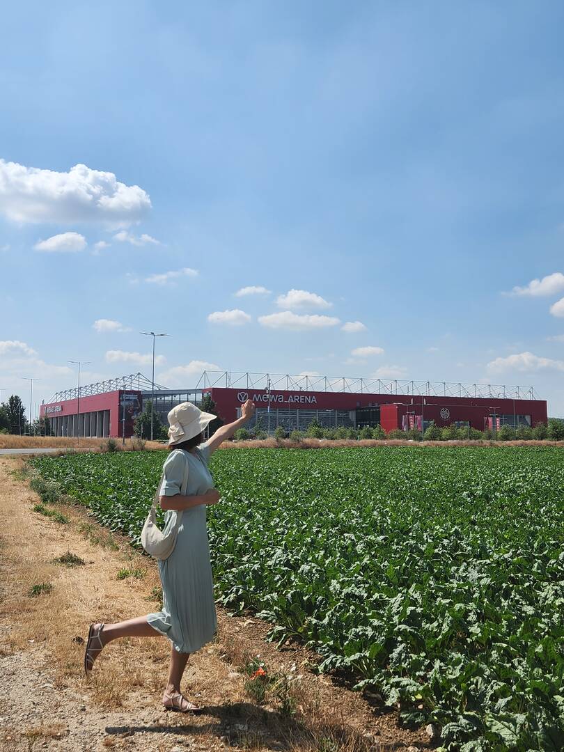 마인츠, 비스바덴-장소8