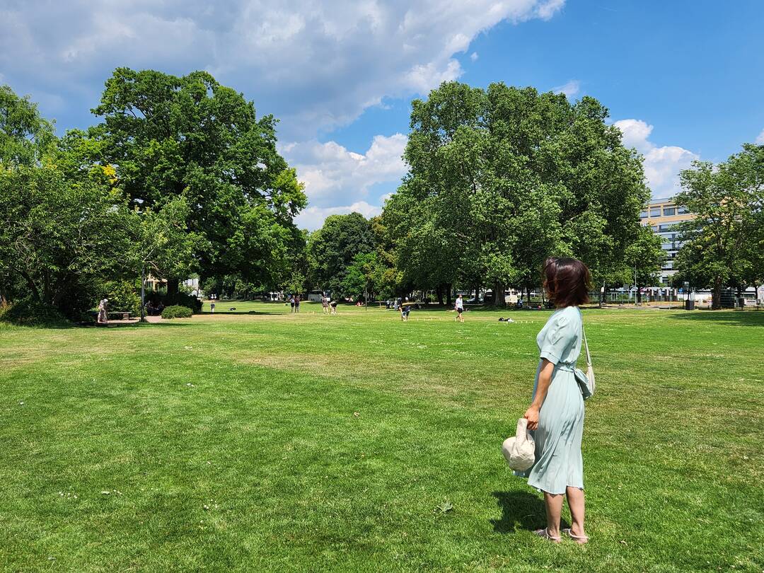 마인츠, 비스바덴-장소2