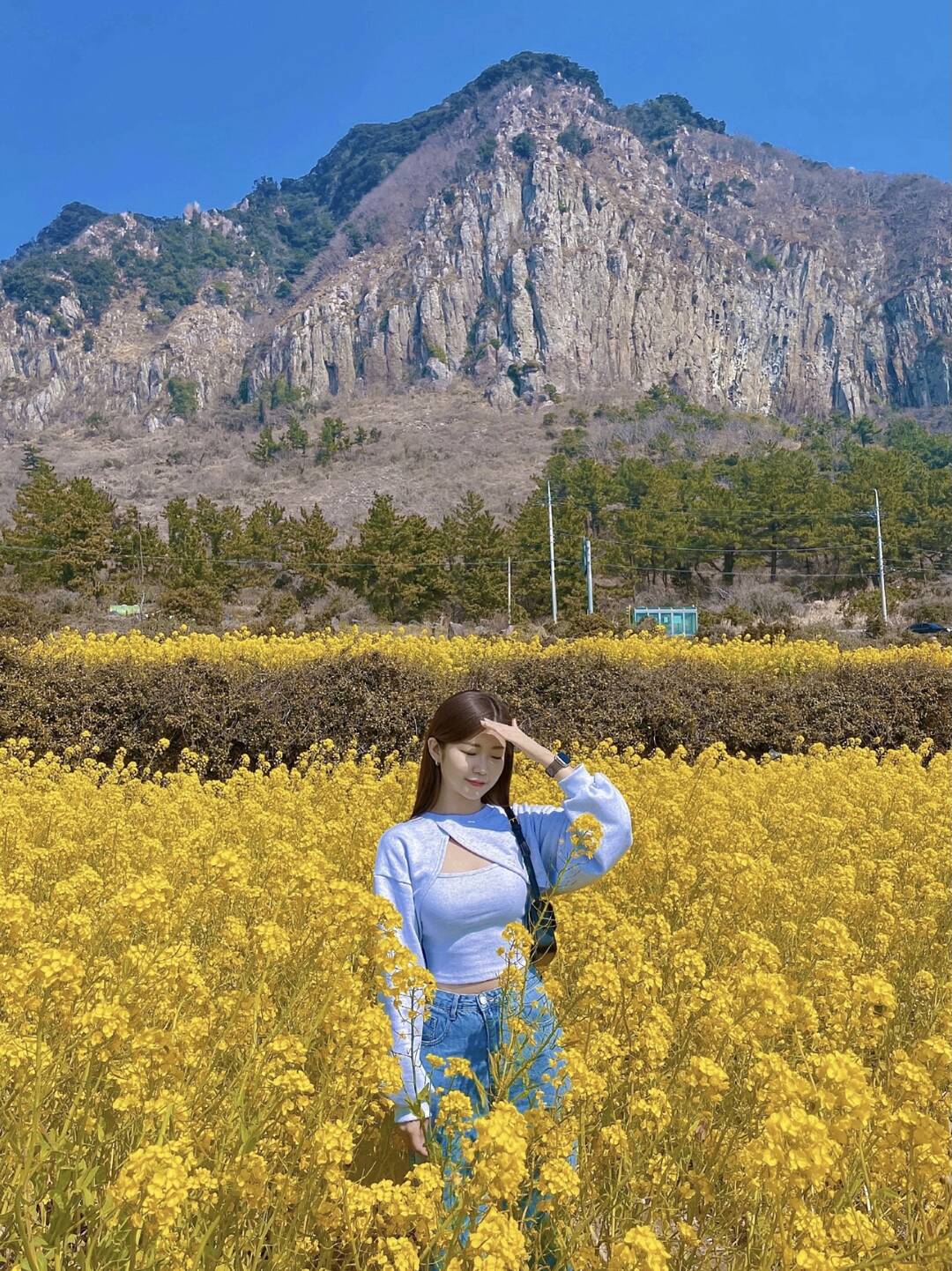 제주도-장소0