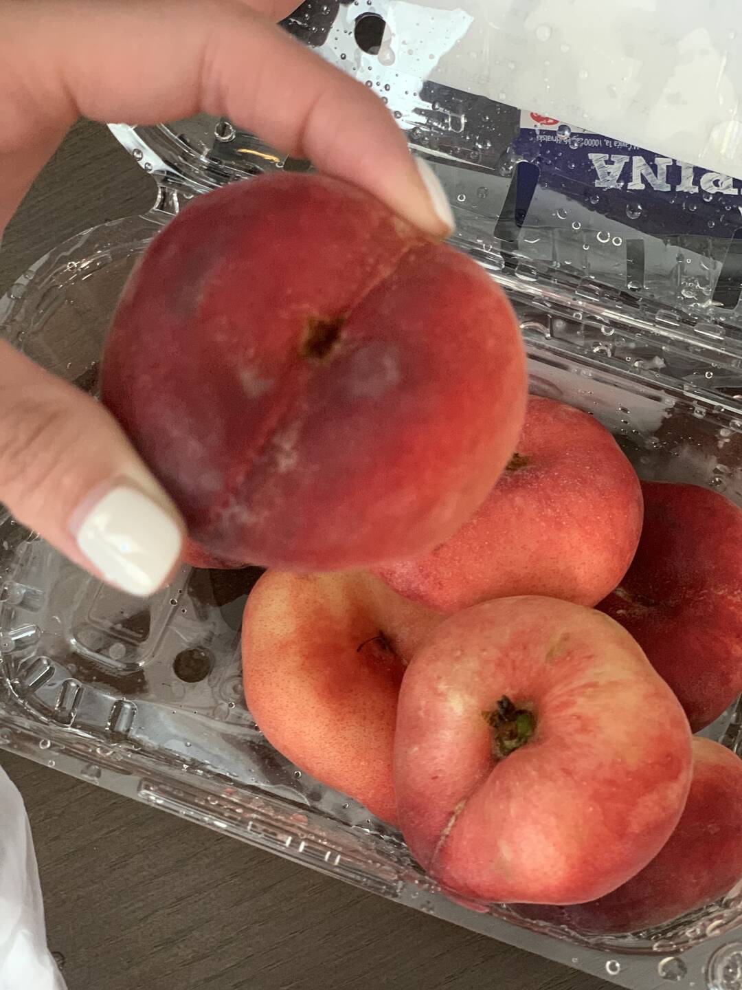 자그레브-맛집3