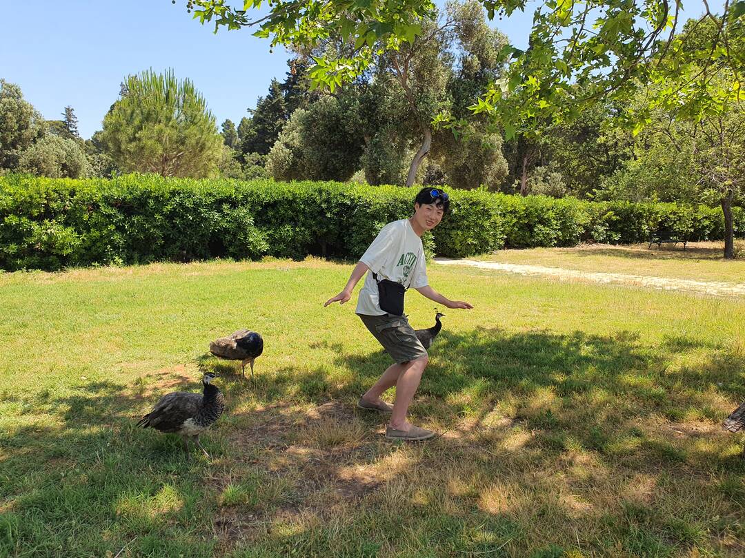 🇭🇷크로아티아 두브로브니크의 공작섬을 아시나요?
