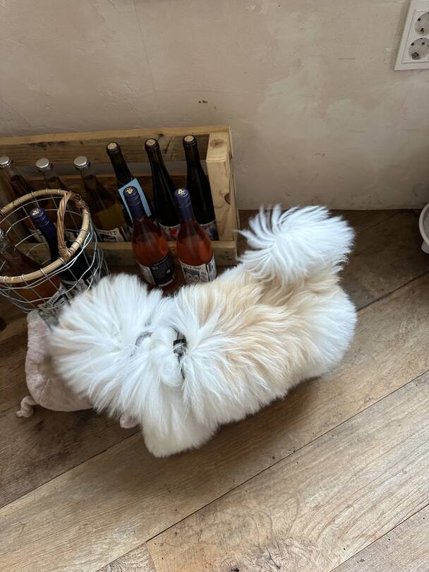 부산-맛집4