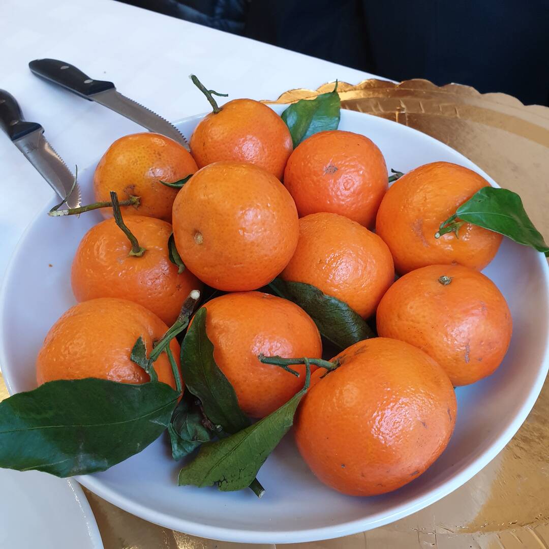 로마-맛집2