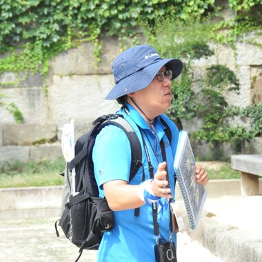 guide image
