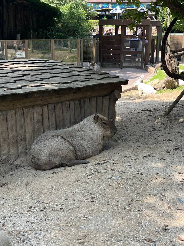 용인-장소2