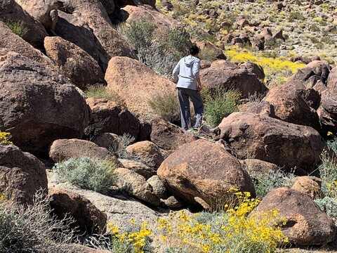 스타라이트 인 & 스위트 모텔 29 팜스 조슈아 트리 국립공원