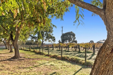 디스커버리 파크 - 스완 밸리