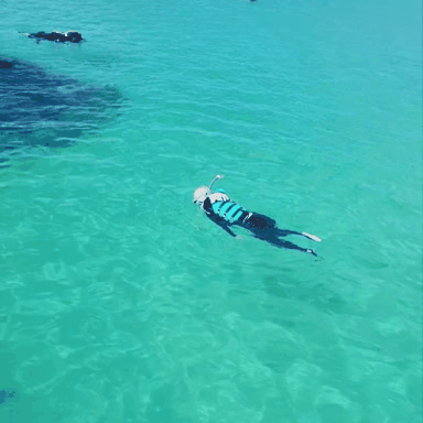 제주도-자유톡0