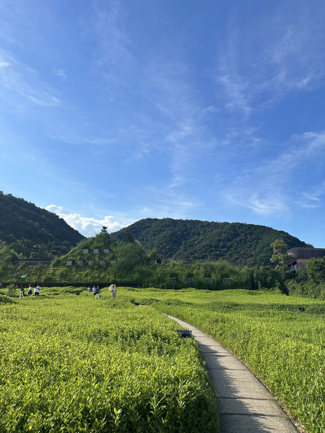 후기 사진
