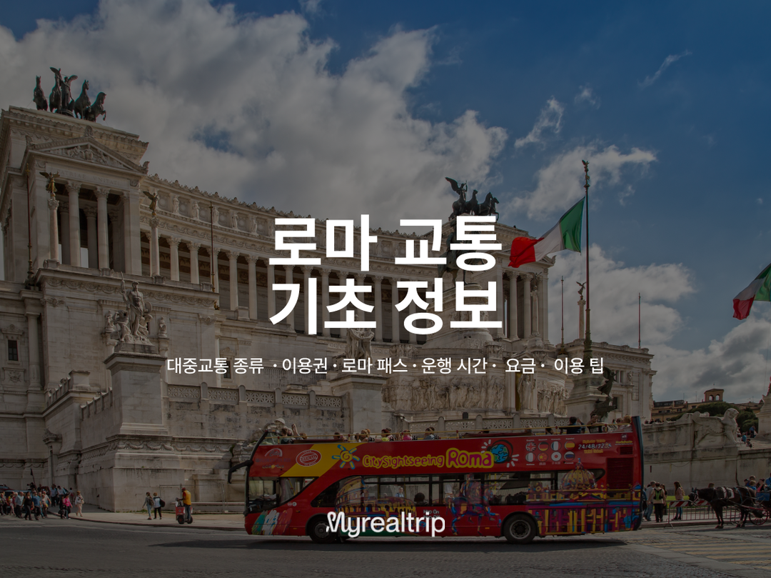 로마-자유톡0
